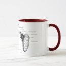 Search for skeletal mugs Anatomy