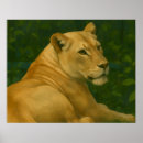 Search for golden lion posters Wild animal