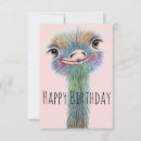 Search for funny ostrich birthday cards Animals