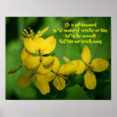 Search for flower meaning Nature