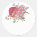 Search for protea stickers Watercolor