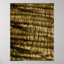 Search for tree bark art Nature