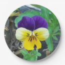 Search for pansy plates Yellow