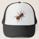 Search for arthropod accessories Animal