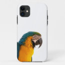 Search for macaw iphone cases Tropical bird