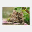 Search for tabby cat doormats Kitten