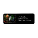 Search for pagan return address labels Wicca