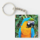Search for macaw key rings Blue and yellow macaw