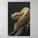 Search for geographic posters Nature