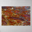 Search for dinosaur bones posters Fossil