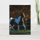 Search for backlit cards Animal