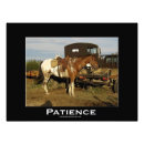 Search for equine for art Cowboy