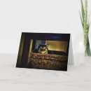 Search for cat basket cards Pet