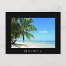 Search for black and white palm trees postcards Beach