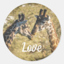 Search for giraffe love stickers Africa