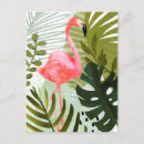 Search for bird stamp postcards Jungle