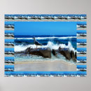 Search for seagull posters Seascape