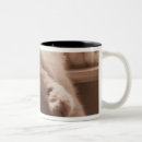 Search for lazy cat mugs Sleeping