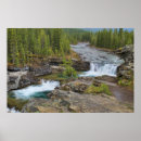 Search for canadian rocky mountains posters Tree