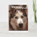 Search for huskie cards Funny