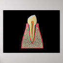 Search for conceptual posters Cutout