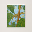 Search for gecko puzzles Wildlife