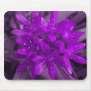 Search for glories mousepads Purple
