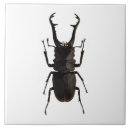 Search for quirky tiles Nature