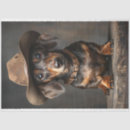 Search for dog tissue paper Dachshund