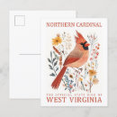 Search for cardinal bird postcards Illustration