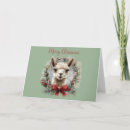 Search for cute alpaca cards Green