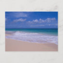Search for foam postcards Blue