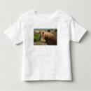 Search for horse toddler tshirts Equine