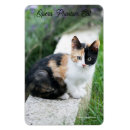 Search for funny movie magnets Humour