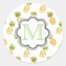 Search for retro pineapple stickers Vintage