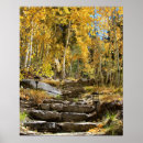 Search for quaking posters Nature