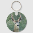 Search for deer key rings Wild animal