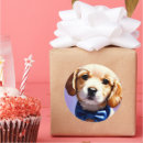 Search for fluffy puppy stickers Adorable