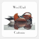 Search for bird hunting stickers Ducks