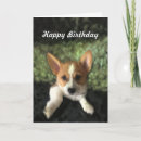 Search for corgi puppy cards Happy