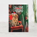 Search for golden retriever christmas cards Retrievers