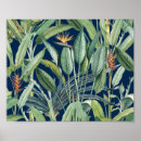 Search for banana tree posters Bird of paradise
