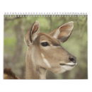 Search for portraits calendars 2026