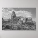 Search for black and white national park posters Desert