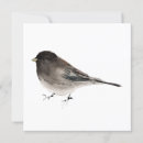 Search for junco cards Watercolor