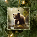 Search for little bear christmas tree decorations Bears