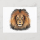 Search for safari jungle postcards Lion