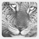 Search for leopard spots stickers Feline