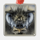 Search for bumblebee christmas tree decorations Insect