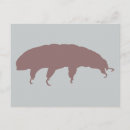 Search for bear silhouette postcards Cute
